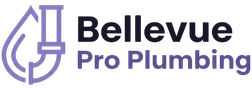 Bellevue Pro Plumbing