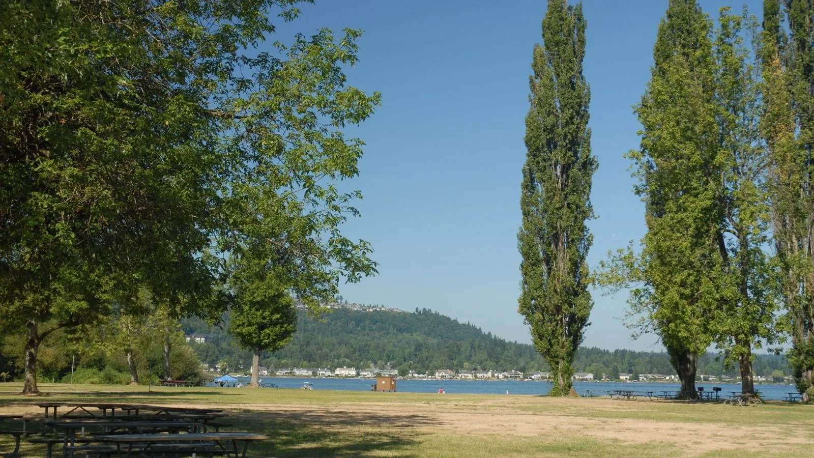 Lakeside park view of Lake Sammamish, WA
