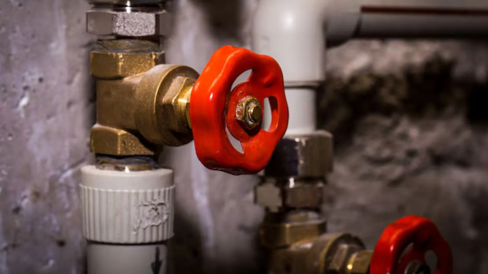 Backflow preventer valve testing